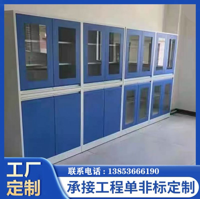 山東實驗室家具全鋼器皿柜通風(fēng)試劑柜廠家供應(yīng)